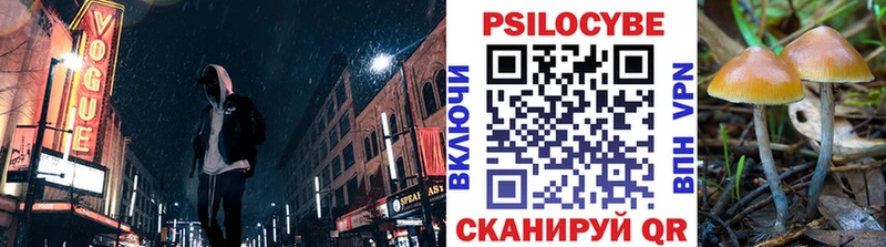 продажа наркотиков  hydra как войти  Псилоцибиновые грибы прущие грибы  Полтавская 